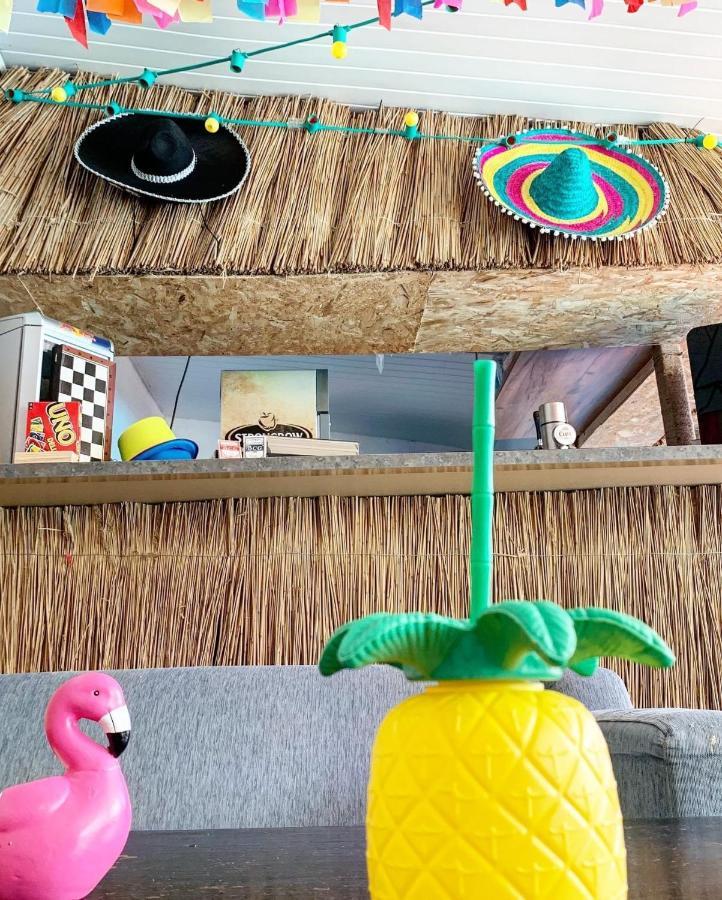 Cactus Costinesti Camin Studentesc pentru Elevi si Studenti Albergue Exterior foto